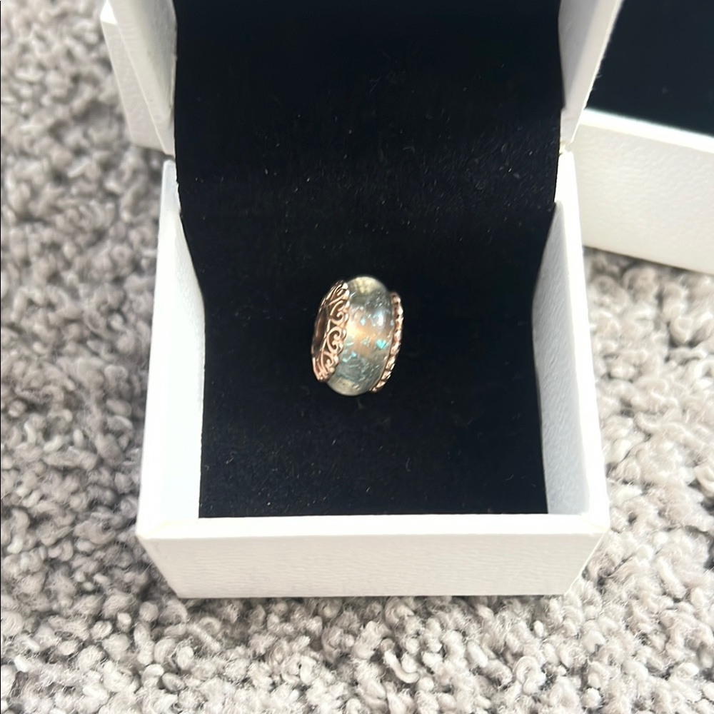 Pandora Bracelet Charm